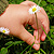 Hand of child picking flower