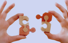 Putting puzzle together