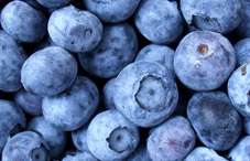 Blueberries