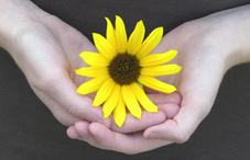 Nurture supervisees