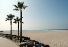Fun in San Diego