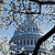 Capitol hill