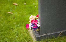 Flowers on grave