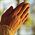 Hands in prayer