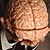 Psychologist and new Cooper Union President Dr. Jamshed Bharucha holding a model of the brain