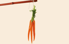 Contingency management