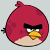 Angry bird