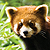 Psychologists are using research-tested ways to enrich the lives of animals in zoos and laboratories.