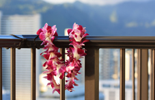 A strong lineup of speakers will focus on emerging trends at APA's 2013 Annual Convention in Honolulu, July 31–Aug. 4.