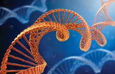 Five major mental illnesses — autism, attention deficit-hyperactivity disorder, bipolar disorder, major depressive disorder and schizophrenia — appear to share some common genetic risk factors.