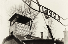 Male Holocaust survivors lived significantly longer than their peers who'd never been under Nazi oppression