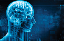 No such thing as ‘right-brained’ or ‘left-brained'