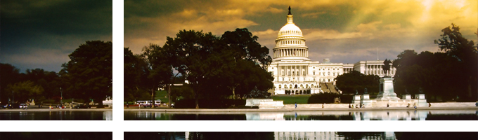 D.C. convention highlights