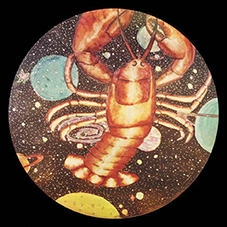 “Space Lobster” is a drum top for her partner Zach, a professional musician.