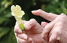 Patients who received cognitive-behavioral training had less arthritis pain, a study found.