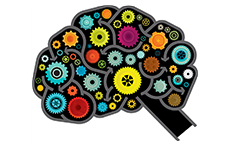Div. 40 (Society for Clinical Neuropsychology)