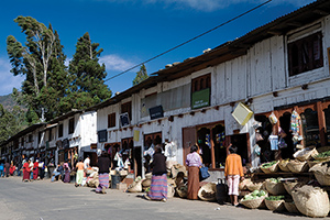 The mental health system in the small nation of Bhutan needs building from the ground up, and psychologists are helping to make that happen.