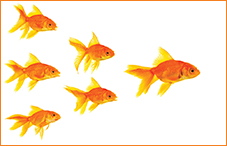 Find opportunities to develop your leadership style by learning from others, using persistence and teamwork, finding an opportunity in a service group or committee, and asking for input.