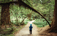 A closer look at Div. 34 (Society for Environmental, Population and Conservation Psychology)