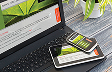 Web-savvy psychologists share the strategies they use to strengthen their Web presence and help patients get the services they need.