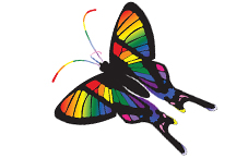 Supporting opportunities for LGBT research