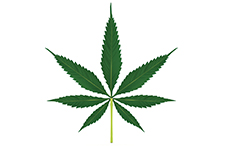Marijuana use before age 16 may adversely alter brain structures that underlie higher-order thinking