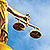 Protecting patient privacy when the court calls