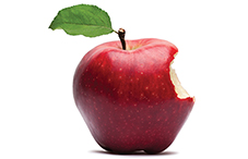 Lunchtime is learning time