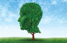 Comprehensive mental health reform