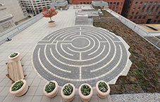 APA's heat-reducing green roof