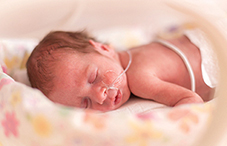 Premature baby
