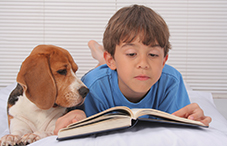 Animal companion