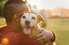 Animal companionship