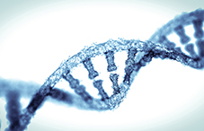 Epigenetics