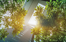 Building a sustainable future