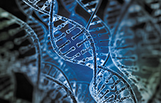 Genetics