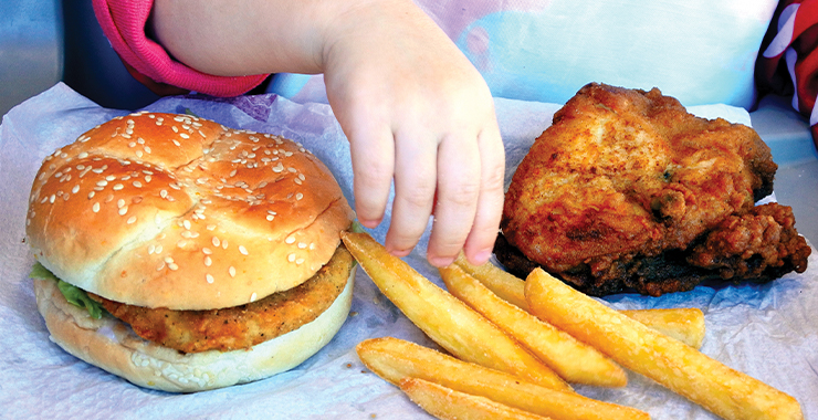 Fast food sandwich and fries