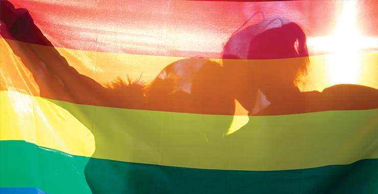 Rainbow flag