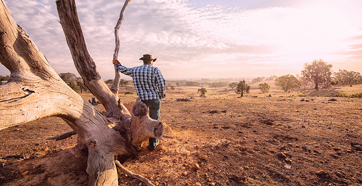Years of drought, exacerbated by climate change, have ravaged soil across Australia.