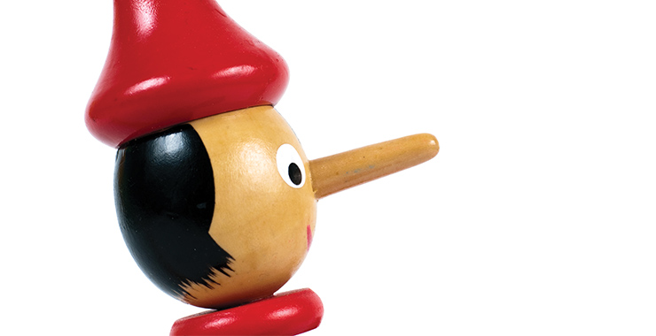 The Truth About Lies the truth about lies