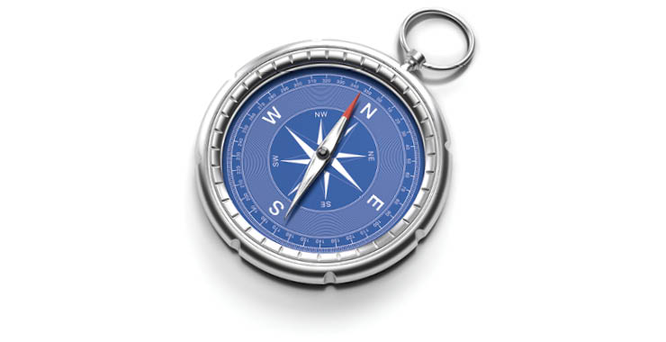 Monitor on Psychology: June; compass