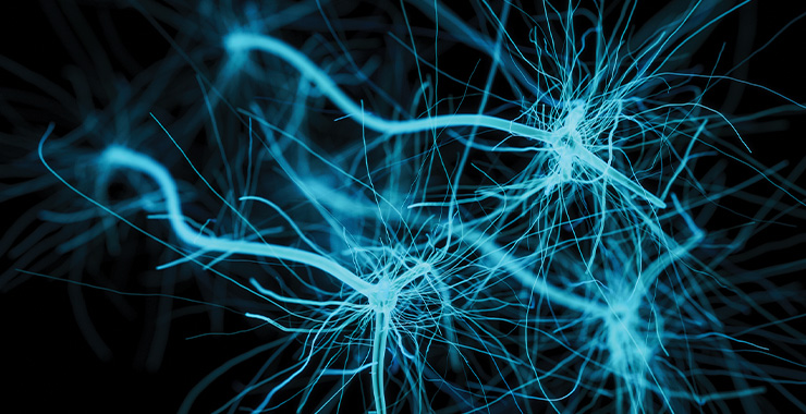 brain synapse