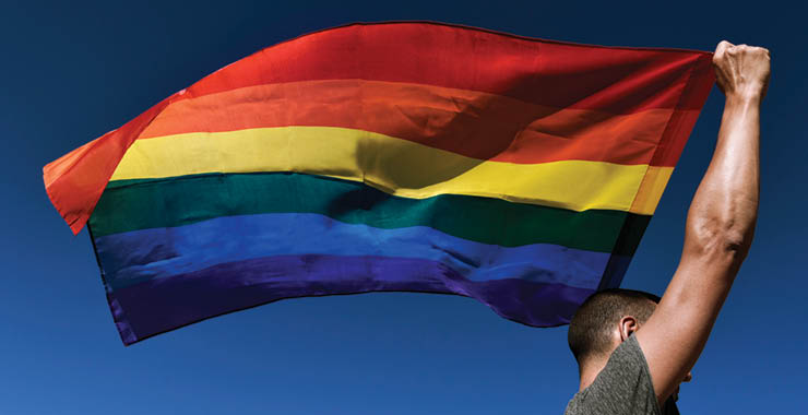LGBTQ flag
