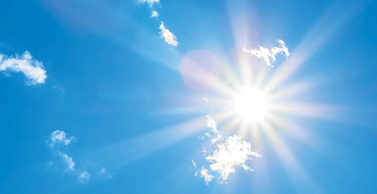 In Brief: A Snapshot of the Latest Peer-Reviewed Studies within ...