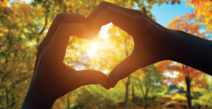 When imagining an ideal long-term partner, both men and women value kindness above all other traits.