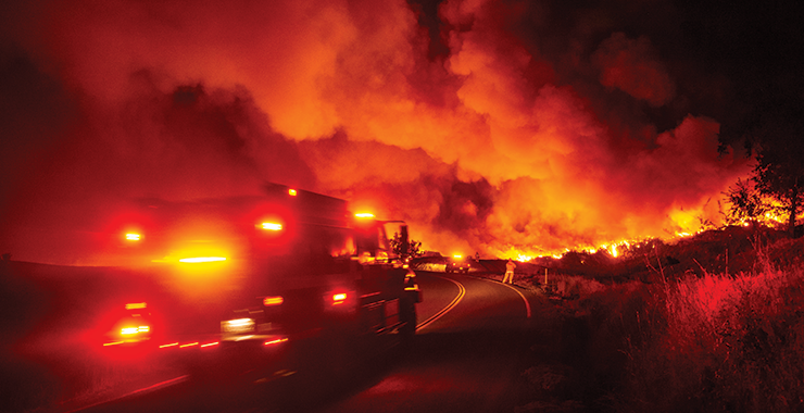 Chaotic wildfire scene