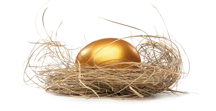 Visual depiction of a nest egg