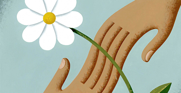 two hands holding a white flower