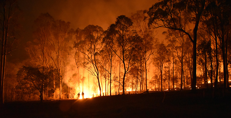 wildfire burning