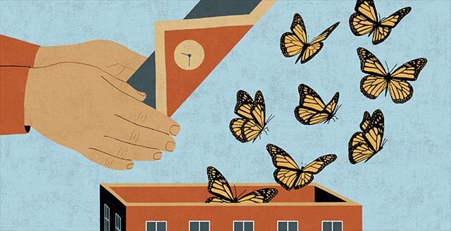 graphic of butterflies emerging from the top of a school building